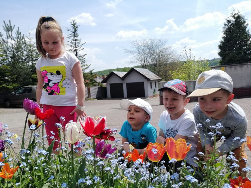 W poszukiwaniu mniszka lekarskiego - zdjęcie 18